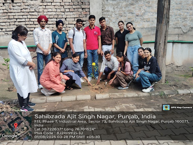 Tree Plantation Drive on 01-05-2025